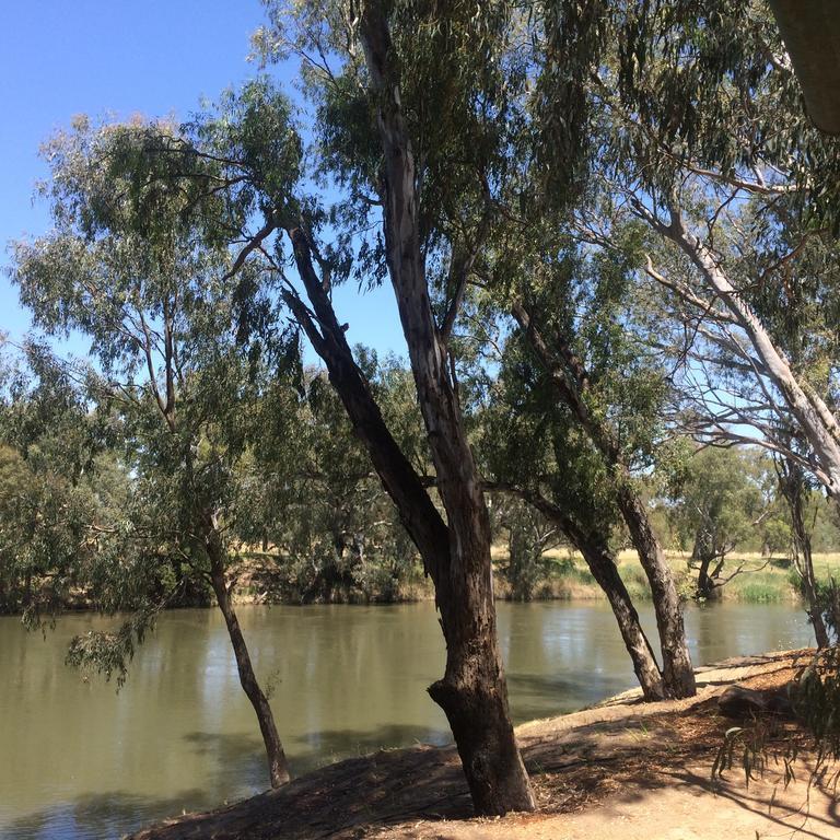 Wagga Wagga Beach Caravan Park Hotell Rom bilde